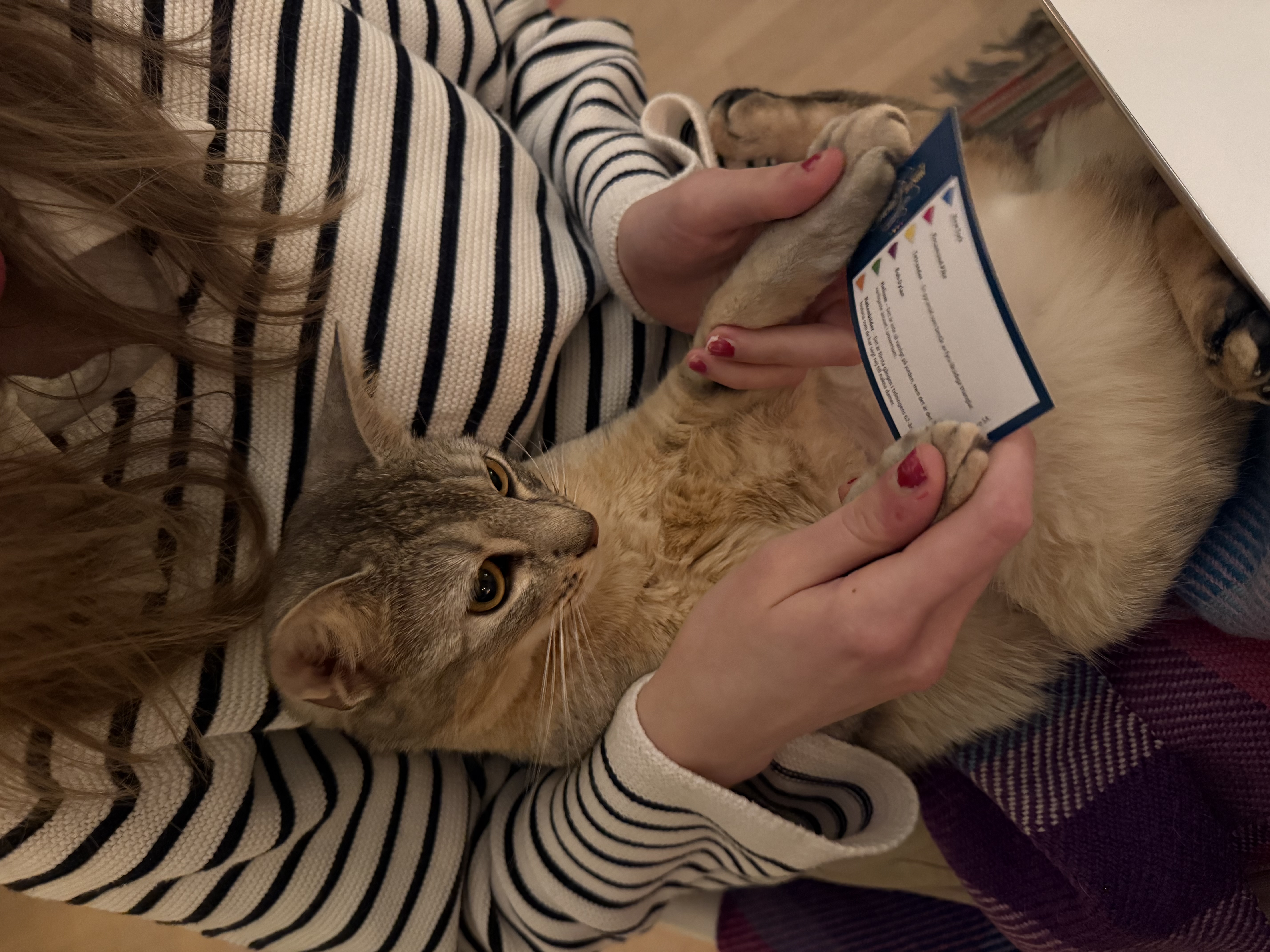 Ich bin da game master 